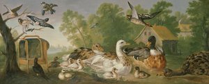 不明な画像 作： Pieter Casteels